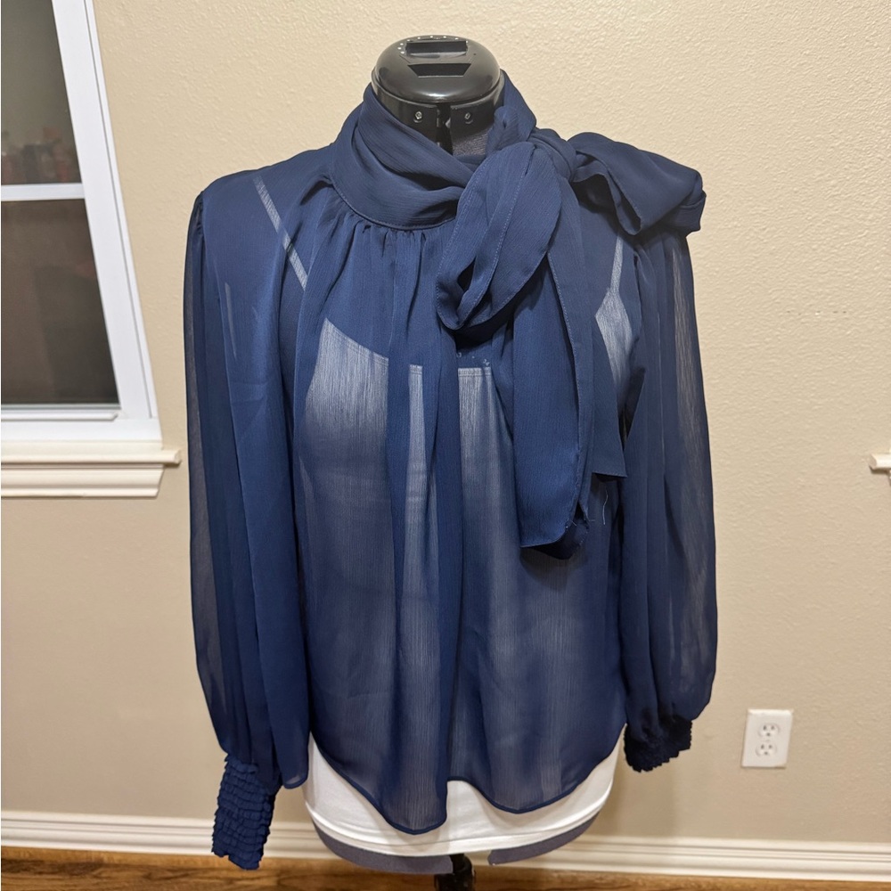 Sheer Navy Blue Women's Top